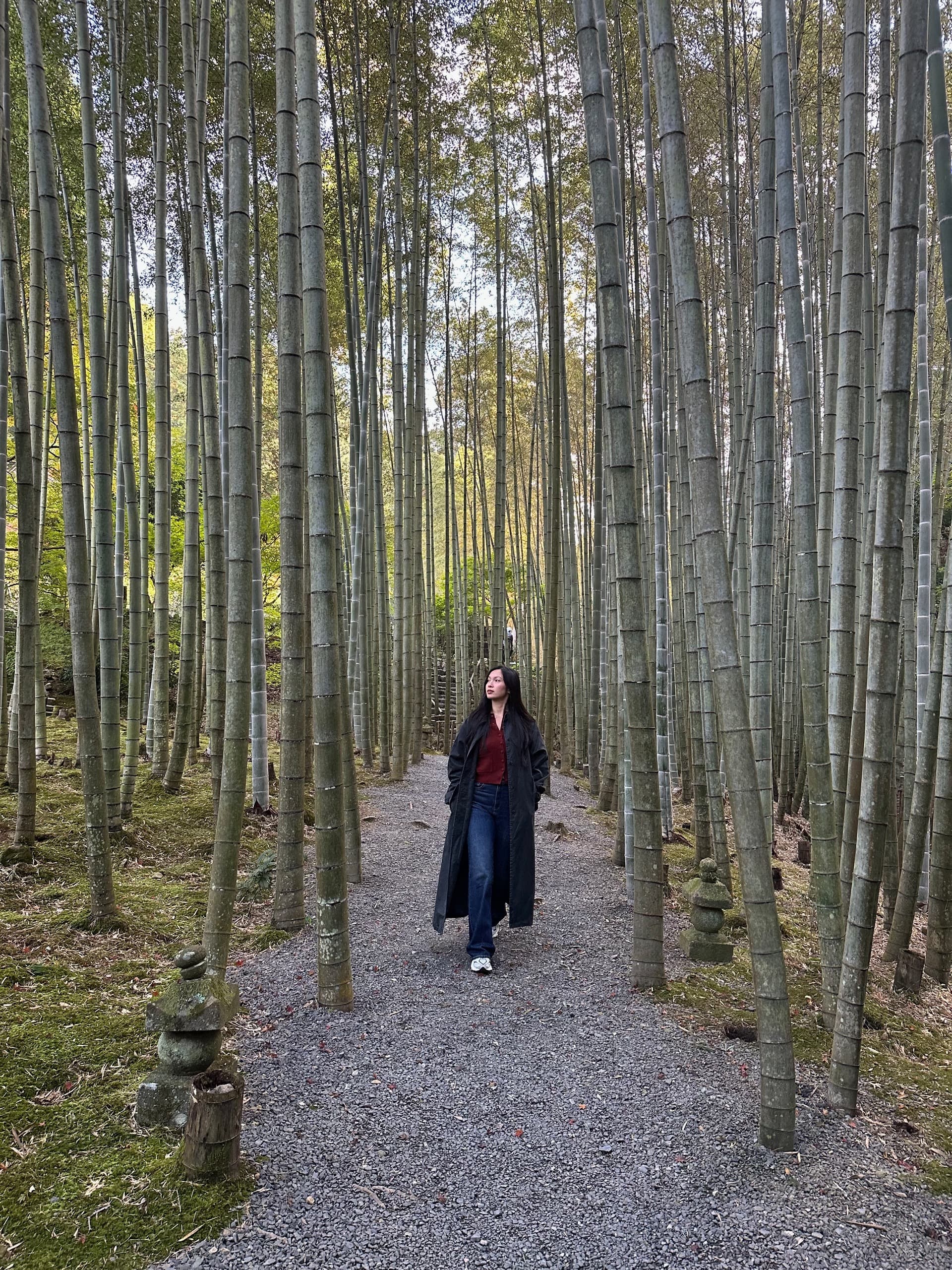 A quiet walk along a forest path